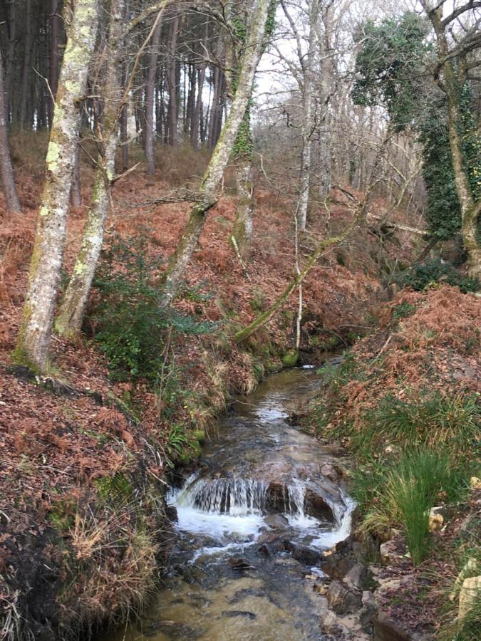 Gite Orget Saint-Macaire Esterno foto